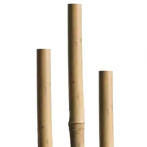 Rúd Tonkin 60cm, 5/7 mm kép