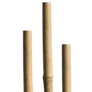 Rúd Tonkin 120cm, 8/10 mm, 5drb.-05608 kép