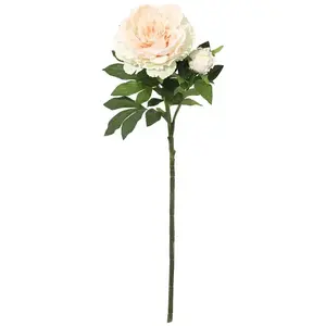 Bazsarózsa ág 112 cm kép
