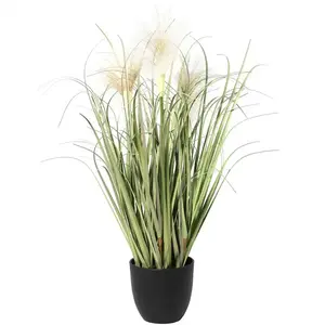 Műnád cserépben 58 cm kép