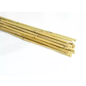 Bambusz karók 90 cm 08/10 mm 20 db kép