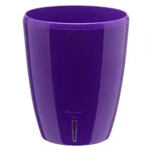 Virágcserép Orchidea Twin 2l lila kép