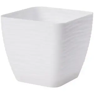 Sahara Petit 15 cm fehér kép