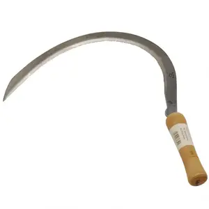 Kis sarló kép