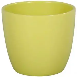 Primus Aromat borító 11cm/zöld kép