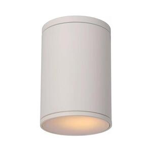 Lucide 27870/01/31 - Fürdőszobai mennyezeti lámpa TUBIX 1xE27/24W/230V IP54 27870/01/31 kép