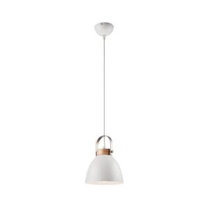 DANIELLE függeszték 1xE27/60W/230V, kábellel LM 1.80 kép