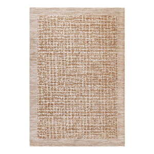 Bézs szőnyeg 160x240 cm Anders Beige Natural – Asiatic Carpets kép