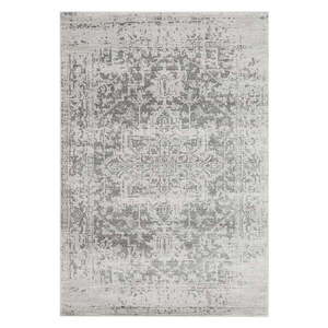 Szürke szőnyeg 200x290 cm Nova – Asiatic Carpets kép