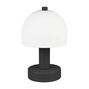 Fekete-fehér asztali lámpa üveg búrával (magasság 19 cm) Glenn – Reality kép