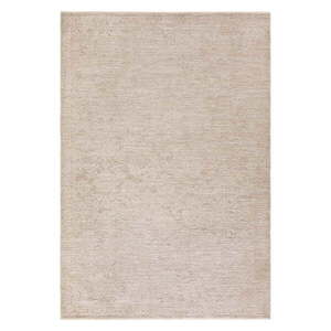 Bézs szőnyeg 240x320 cm Laurent Beige Natural – Asiatic Carpets kép