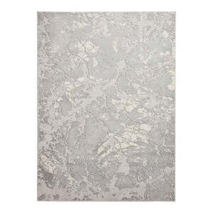 Szürke-bézs szőnyeg 170x120 cm Apollo - Think Rugs kép