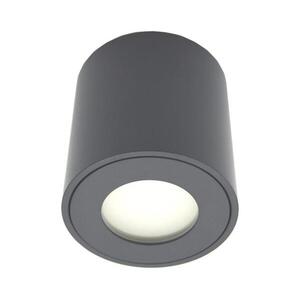 Kültéri spotlámpa FARA 1xGU10/30W/230V IP54 fekete SKU047068 kép
