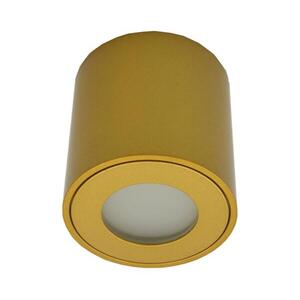 FARA kültéri spotlámpa 1xGU10/30W/230V IP54 aranyszínű SKU047066 kép