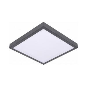 LED Mennyezeti lámpa VITALI LED/24W/230V kép