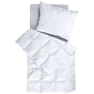SCANquilt Comtessa Plus, pehely kép