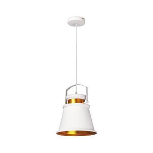 Rabalux 2571 - Függeszték DUSAN E27/40W 2571 kép