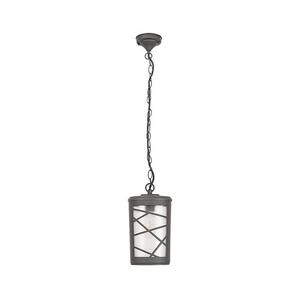 Rabalux 8743 - Kültéri függeszték PESCARA 1xE27/60W/230V IP44 8743 kép