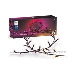 Philips LED RGBW dimmelhető kültéri fényfüzér HUE WACA 500 LED, 44, 4 m, IP54 8720169246867 kép