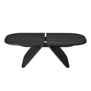 Fekete tölgyfa dohányzóasztal 54x100 cm Avio – Blomus kép