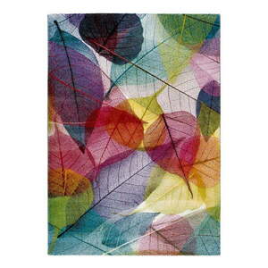 Colors Multi szőnyeg, 120 x 170 cm - Universal kép