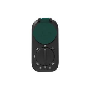 DT34A - Időzítő kapcsoló alkonykapcsolóval 3600W/230V IP44 DT34A kép