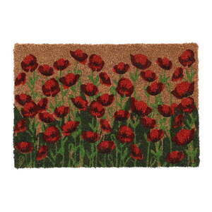 Kókuszrost lábtörlő 40x60 cm - Esschert Design kép