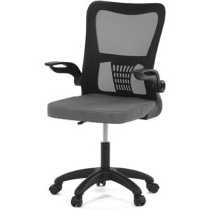 HOMEPRO Riku, szürke kép