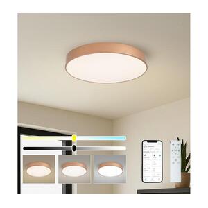 Brilagi-LED Dimmelhető medencelámpa POOL SMART LED/60W/230V 50 cm Wi-Fi Tuya bronz + távirányító BRI1030 kép