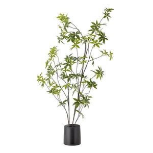 Műnövény (magasság 160 cm) Palmatum – Bloomingville kép