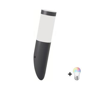 Brilagi - LED RGBW kültéri fali lámpa ELIA 1xE27/6, 5W/230V 2700-6500K IP44 antracit BG5752+AI0818 kép
