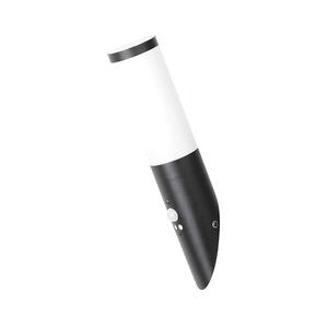 Rabalux 8146 kültéri fali lámpa érzékelővel BLACK TORCH 1xE27/25W/230V 8146 kép