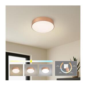 Brilagi - POOL LED mennyezeti lámpa 24W/230V 3000/4000/6000K átm. 20 cm bronz BRI1011 kép