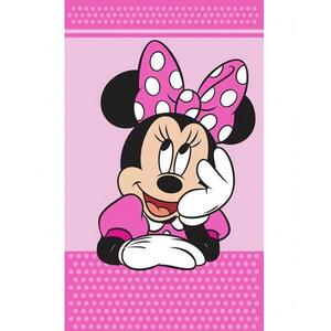 Carbotex, gyerekeknek, Minnie Csillagok kívánságai 30 × 50 cm kép