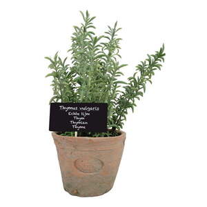 Műnövény (magasság 21, 5 cm) Thyme – Esschert Design kép
