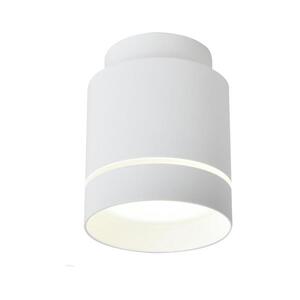 Candellux LED Mennyezeti lámpa TUBA LED/12W/230V 2275918 kép