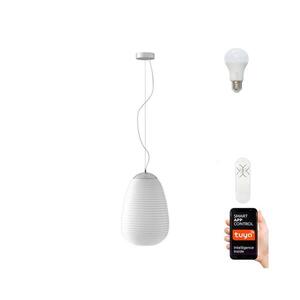 Immax NEO 07066L - LED RGBW dimmelhető COCONO csillár 1xE27/8, 5W/24 cm 07066L kép