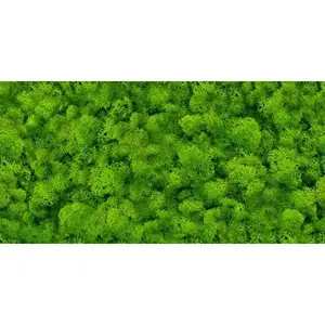Csempe Dek. Pure Moss Glass 30/60 kép