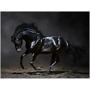Kép Canvas Silver1 85X113X2, 8 EX511 Black Horse kép