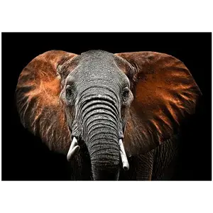 Kép Glasspik Animals3 70x100 SG GL249 Red Elephant kép