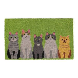 Kókuszrost lábtörlő 45x75 cm – Esschert Design kép
