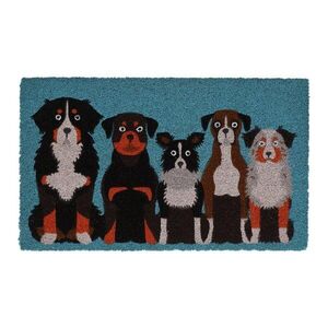 Kókuszrost lábtörlő 45x75 cm – Esschert Design kép
