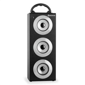 Auna Beachboy XXL Bluetooth hangfal, ezüst, USB, SD, AUX, FM kép