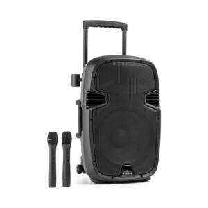 Malone Bushfunk 30 aktív PA hangfal, 700 W, bluetooth, akkumulátor, USB, SD, MP3, VHF kép