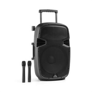 Malone Bushfunk 45 aktív PA hangfal, 900 W, bluetooth, akkumulátor, USB, SD, MP3, VHF kép