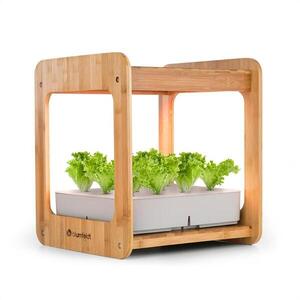 Blumfeldt Urban Bamboo, hidroponikus növénytermesztő rendszer, 12 növény, 24 W LED, 7 liter, bambusz kép