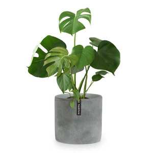 Fox & Fern Venlo, virágcserép, Polystone, beltér és kültér, 3 méret kép