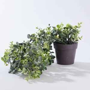 FLORISTA cserepes műnövény 50cm kép