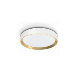 Philips - LED Dimmelhető mennyezeti lámpa HANNO LED/24W/230V 4000K fehér 8720169301399 kép