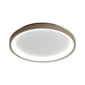 Brilagi - LED dimmelhető mennyezeti lámpa FALCON SLIM LED/42W/230V fehér/bézs + távirányító BRX1330-500/BG+BI kép